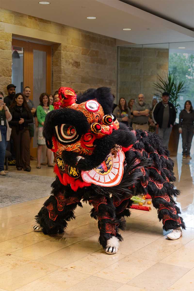 Kevin and his dance troupe in the full lion dancing costume